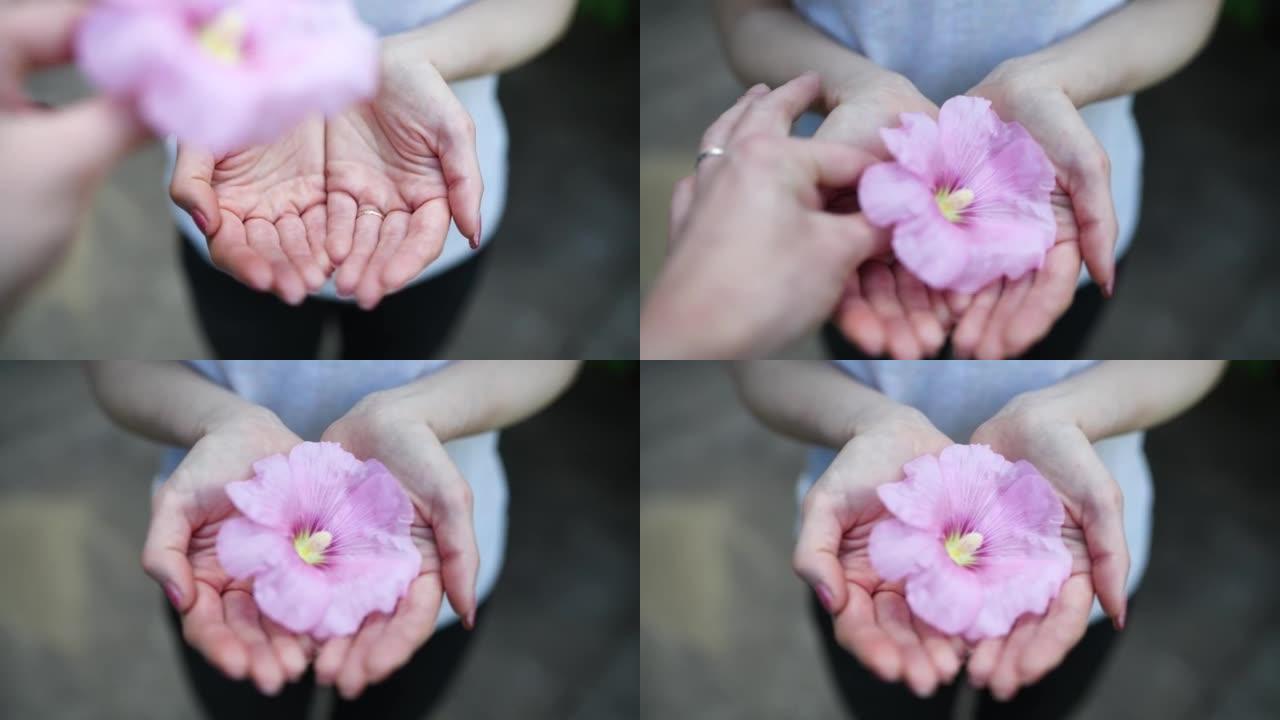 男女手递粉色花朵