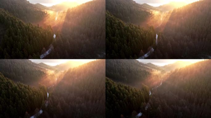 森林逆光光影清晨光线时间流逝航拍4K