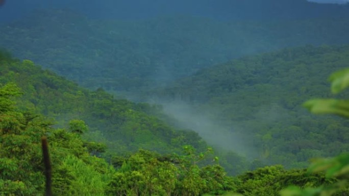 波多黎各埃尔云克国家森林