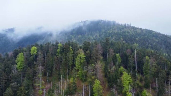 在法国孚日，拥有喜怒无常的白云的山上的森林空中提升视图4K