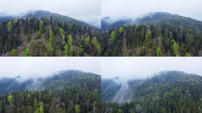 在法国孚日，拥有喜怒无常的白云的山上的森林空中提升视图4K