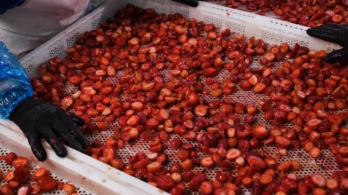 草莓加工厂