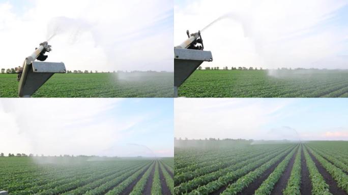 灌溉系统灌溉大豆田慢动作