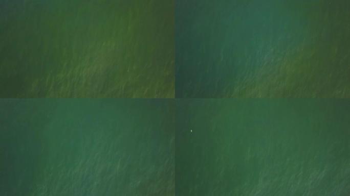 从上方穿过西澳的绿松石到绿海的空中无人机视图