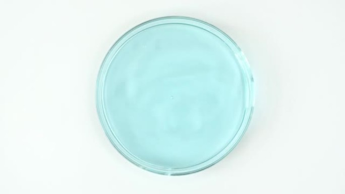 透明的蓝色化妆品液体滴在玻璃碗中的Petri。宏丸血清、乳膏、透明质酸。有机化妆品，药品。慢动作