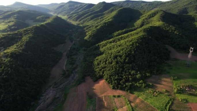 巨大的松树森林群山环绕绿水青山山河大地