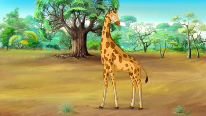 阳光明媚的热带草原上的非洲长颈鹿4k动画