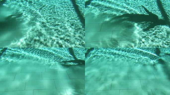 在波浪形式的游泳池中水下游泳的人的影子