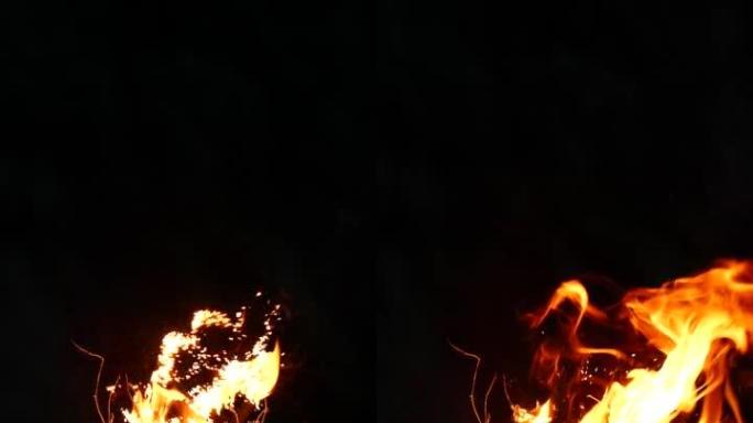 真实燃烧的树的慢动作，黑色背景上的特写火焰