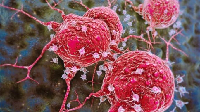 癌症细胞癌症细胞