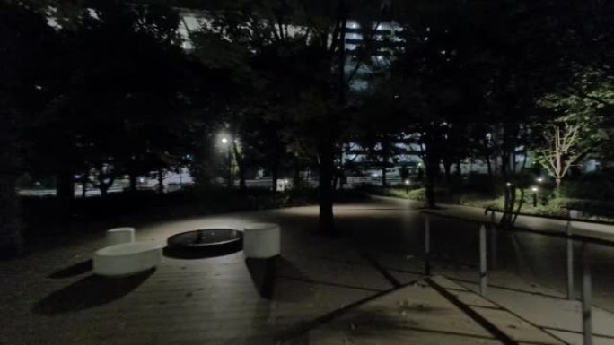 东京丰洲夜景漫步视频2022
