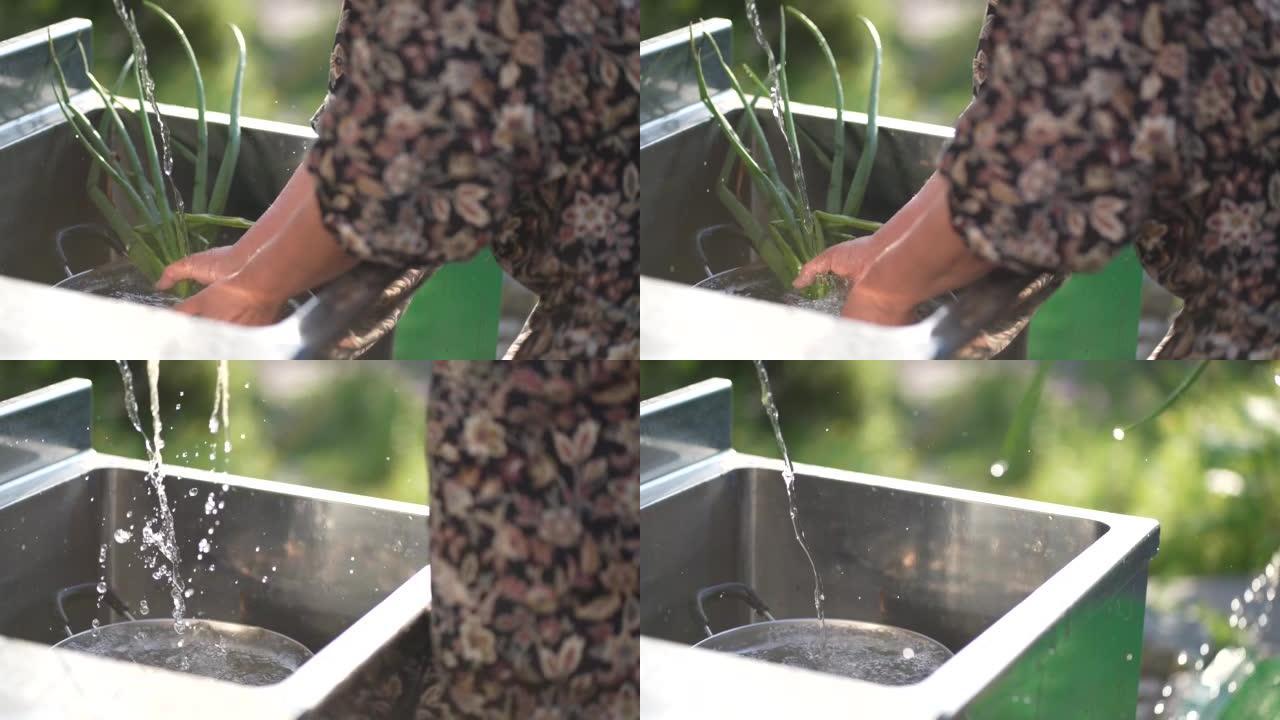 一个女人在洗收获的洋葱