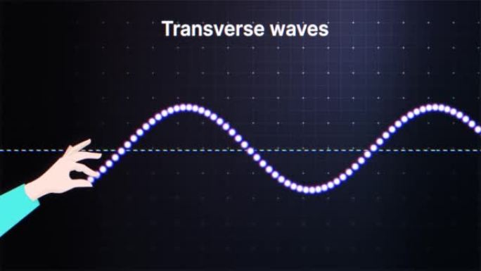 横波动画。纵波产生。振幅、波峰、波谷和波长。物理学。4K