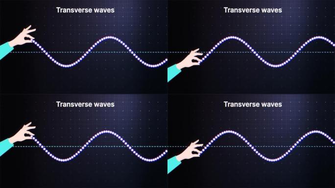 横波动画。纵波产生。振幅、波峰、波谷和波长。物理学。4K
