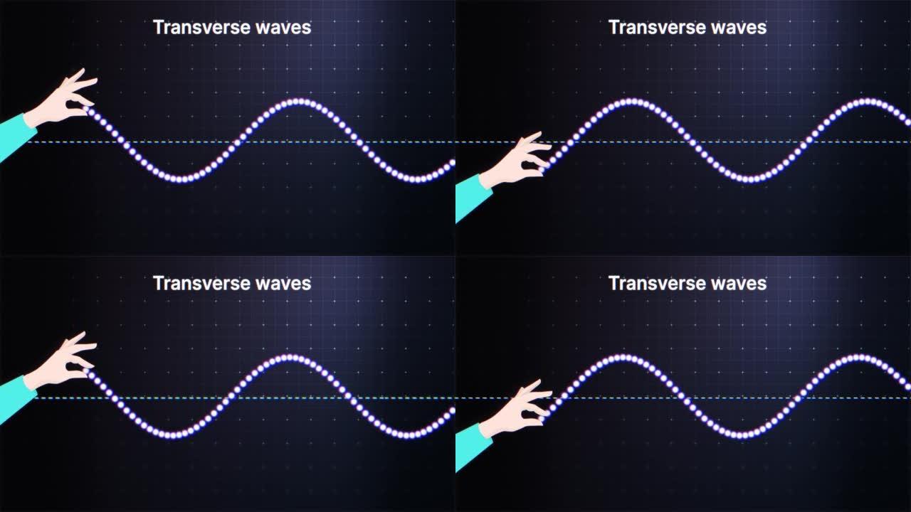 横波动画。纵波产生。振幅、波峰、波谷和波长。物理学。4K