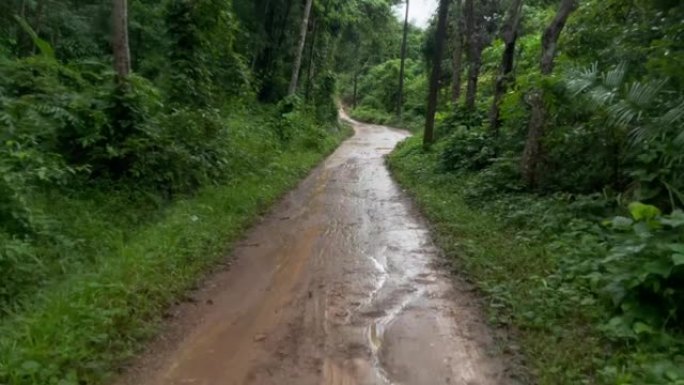 棕土越野极端探险热带森林山区。风景名胜环境。户外乐趣，探索和娱乐。