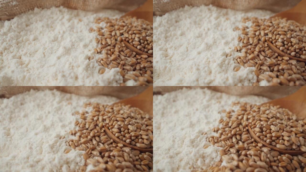 小麦谷物和白面粉特写