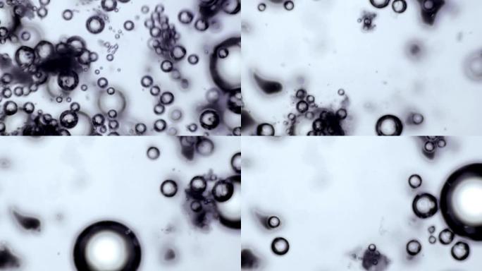 盐晶体钠聚合物离子颗粒在显微镜下与水泡反应2发