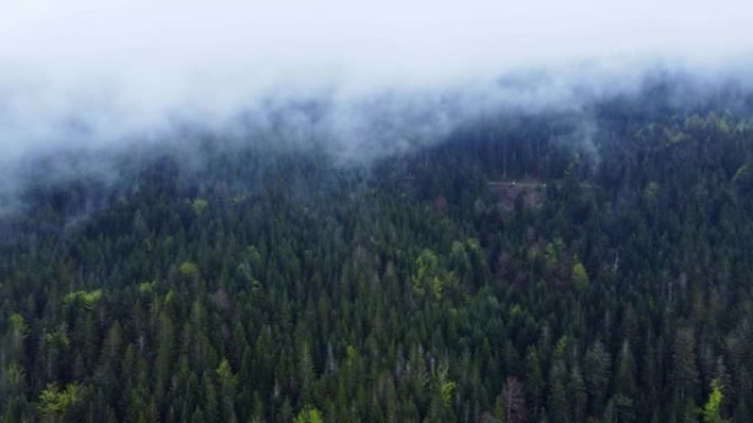 法国孚日的一片漆黑的山林的鸟瞰图，树顶覆盖着喜怒无常的云4K