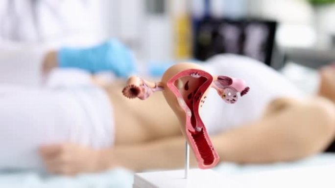 妇科医生以卵巢子宫人工模型为背景制作盆腔器官超声特写4k电影