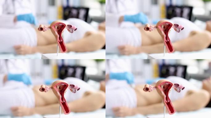 妇科医生以卵巢子宫人工模型为背景制作盆腔器官超声特写4k电影