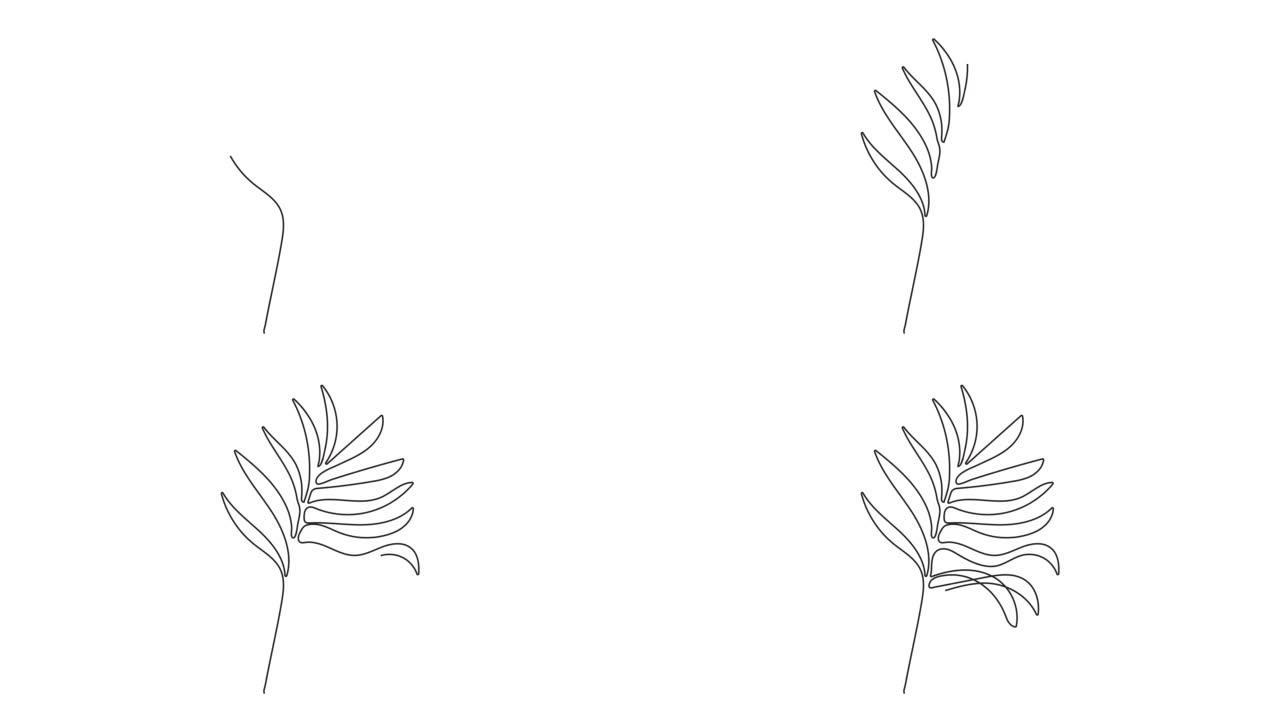 棕榈，怪兽动画线条艺术风格。手绘风格的民族部落植物矢量，带有波西米亚风格的包装纸装饰