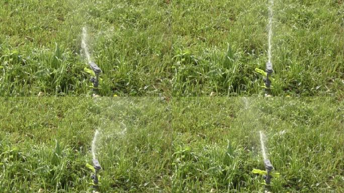 Automatic lawn watering