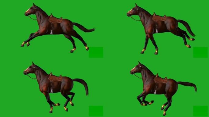 在绿色屏幕上奔跑的马