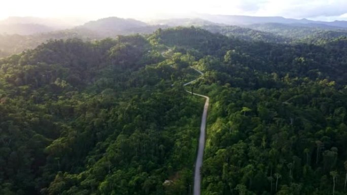 一条通往亚马逊森林的土路