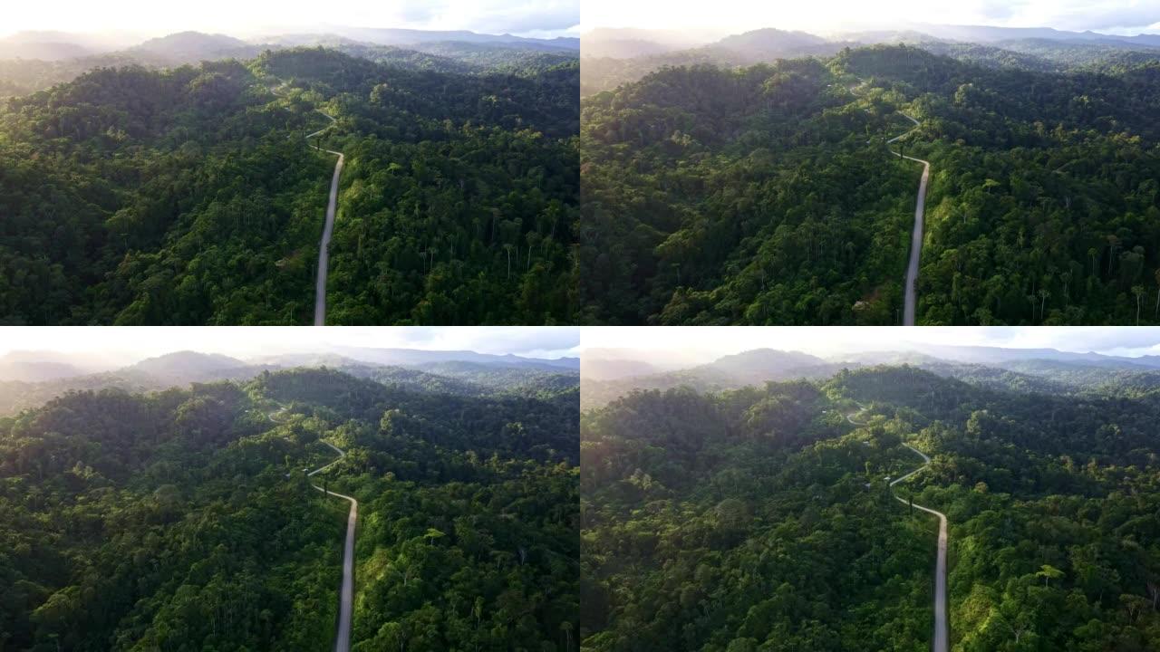 一条通往亚马逊森林的土路
