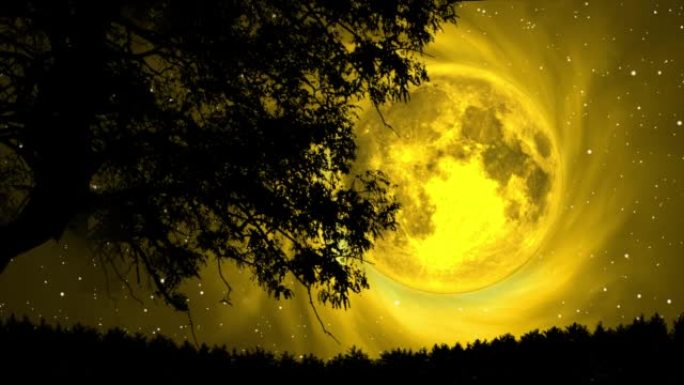 满月背景上两棵树的幻想夜剪影