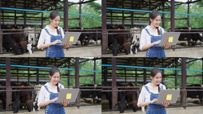 亚洲年轻的奶农妇女独自在农场户外工作的肖像。美丽的农家女农民在牛棚里看着奶牛，在笔记本电脑上愉快地做