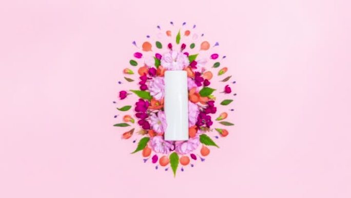 白色化妆品管周围的天然头状花序、花蕾和叶子。粉色背景，有复制空间。平铺