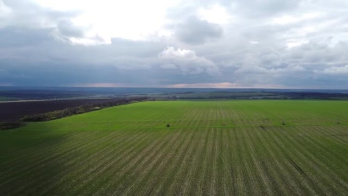 无人机鸟瞰图农村农业景观，农场收获绿色播种场