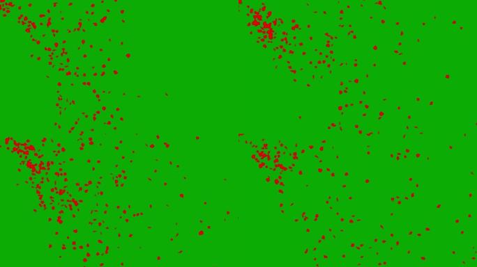 落下的玫瑰花瓣运动图形与绿色屏幕背景