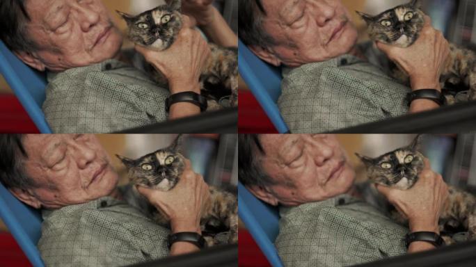 老人在房子里抚摸一只猫。