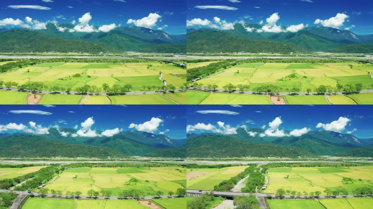 稻田和道路的鸟瞰图