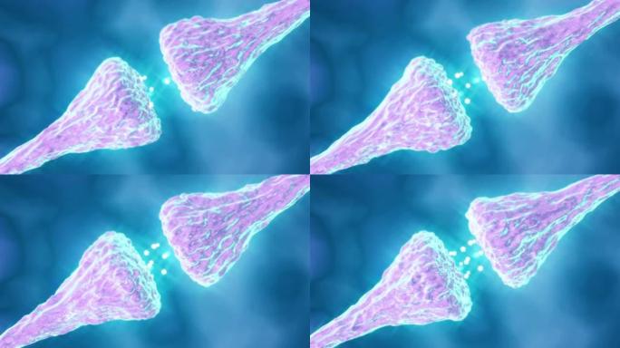 神经元突触神经元突触医学