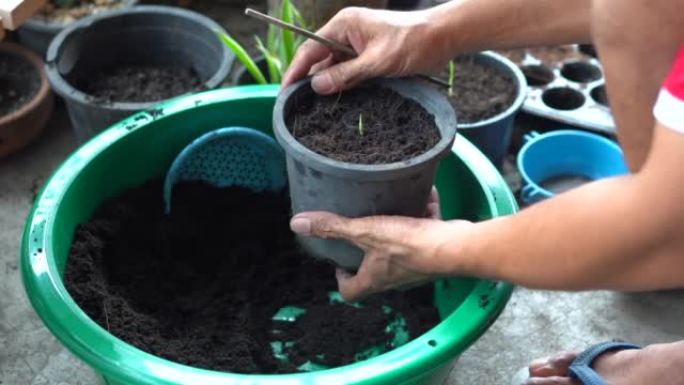 混合土壤并将其放入盆栽中，用于种植树木，幼苗。