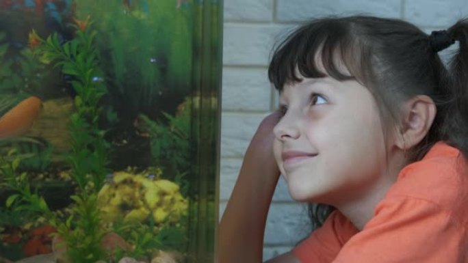 水族馆的好奇孩子。