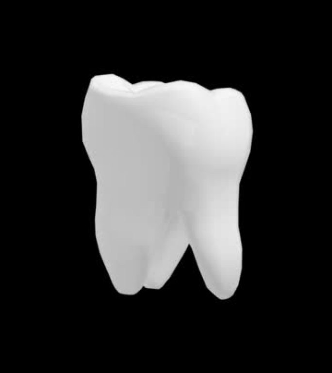 旋转3D牙齿的美白治疗。垂直4k。