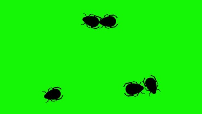 群虫行走动画绿屏色度键