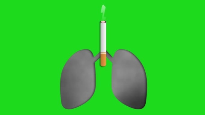 香烟烟雾使肺变黑，并在绿色屏幕上隔离了canser疾病动画。禁止吸烟和社会意识。
