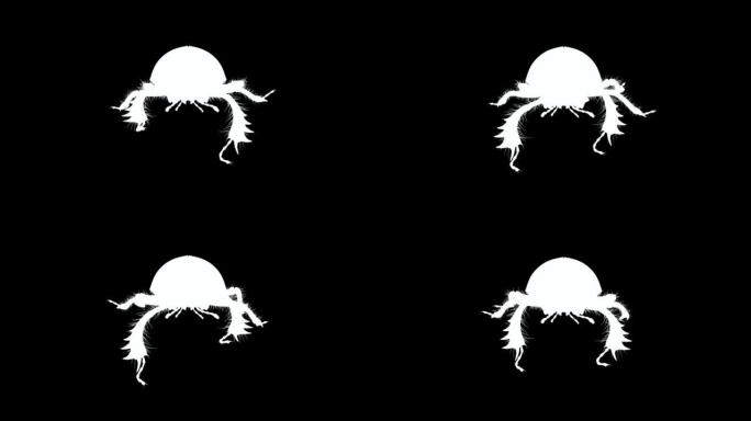 黑白前视图粪甲虫循环动画素材