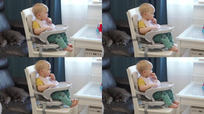儿童和猫在家庭中和平共处，一岁的婴儿坐在加高座椅上，喂食托盘固定在餐椅上。