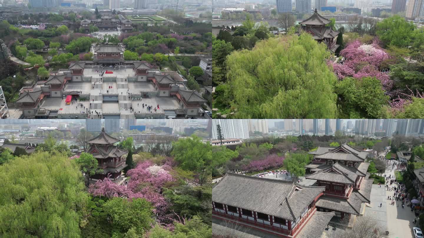 青龙寺遗址樱花花海古建筑景观风光航拍8