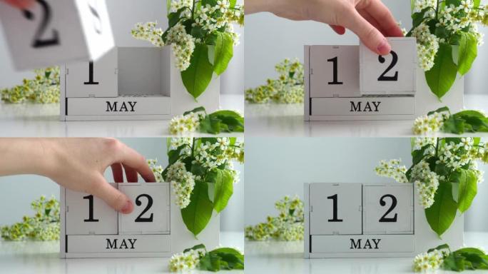 5月12日。女性手在日历上设定日期。春季。白色的立方历在桌上的花。在一个月内更改日期。假日日。日历上
