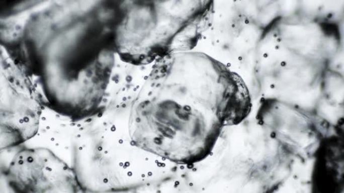 盐晶体钠聚合物离子颗粒在显微镜下与水反应3发