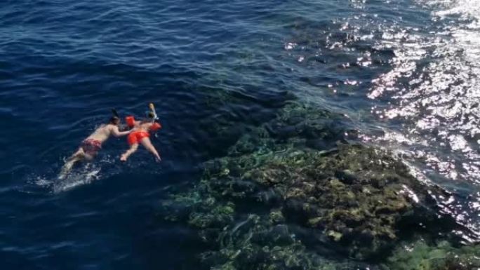 人们在珊瑚的红海表面浮潜