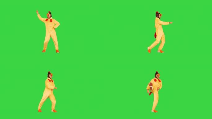 穿着鸡肉服装的高加索人在绿屏上表演火热的舞蹈，色键